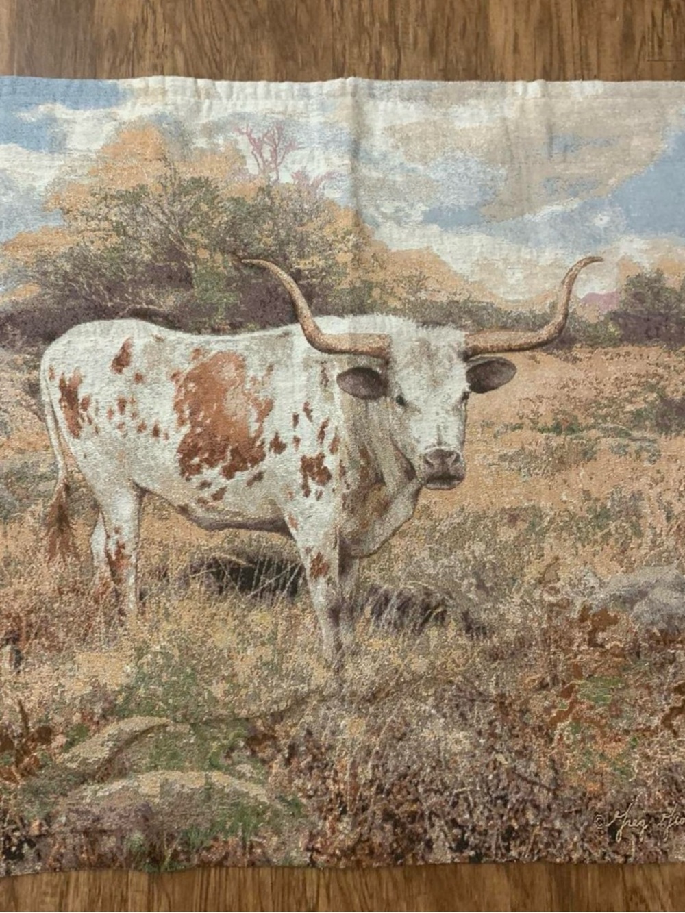 Western Longhorn Canvas Flag - Brown & White